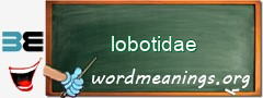 WordMeaning blackboard for lobotidae
